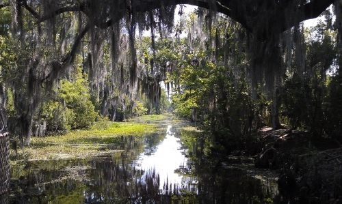 Pascagoula 